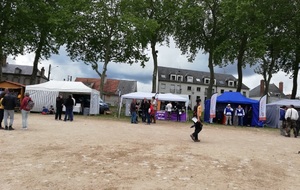 Beaugency du 17 au 19 Mai 2019