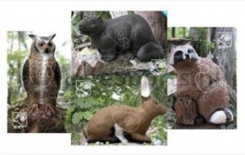 Concours Nature Mornas 11 Octobre 2026