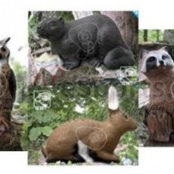 Concours Nature Mornas 11 Octobre 2026