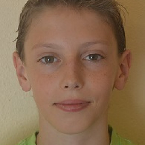 Loic Ferlin