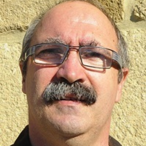 Jean Michel Laffont Vicens
